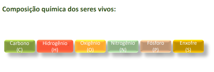 Carbono, Hidrogênio, Oxigênio, Nitrogênio, Fósforo e Enxofre